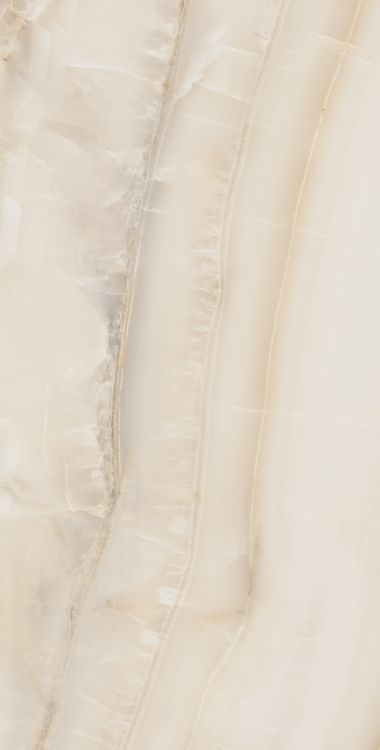 Akoya Ivory Matte 24 x 48